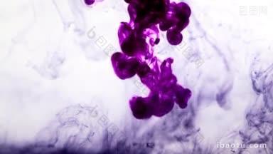 抽象背景紫墨在白色的水